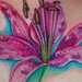tattoo galleries/ - Star-Gazer 